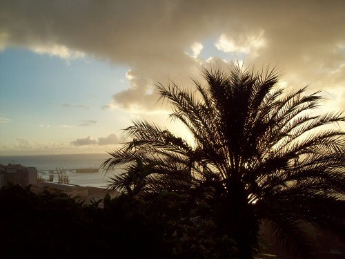 Fim de dia, Salvador